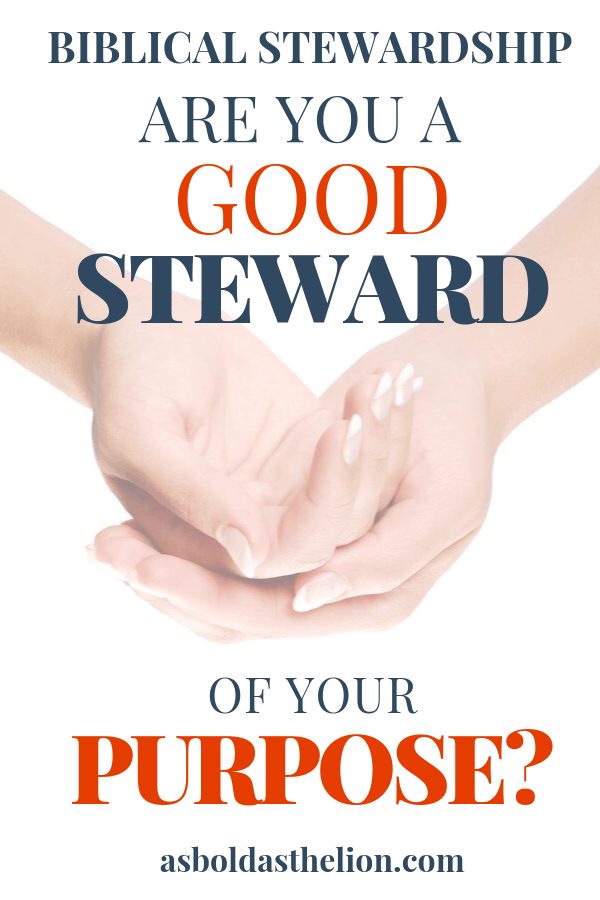 good steward meaning