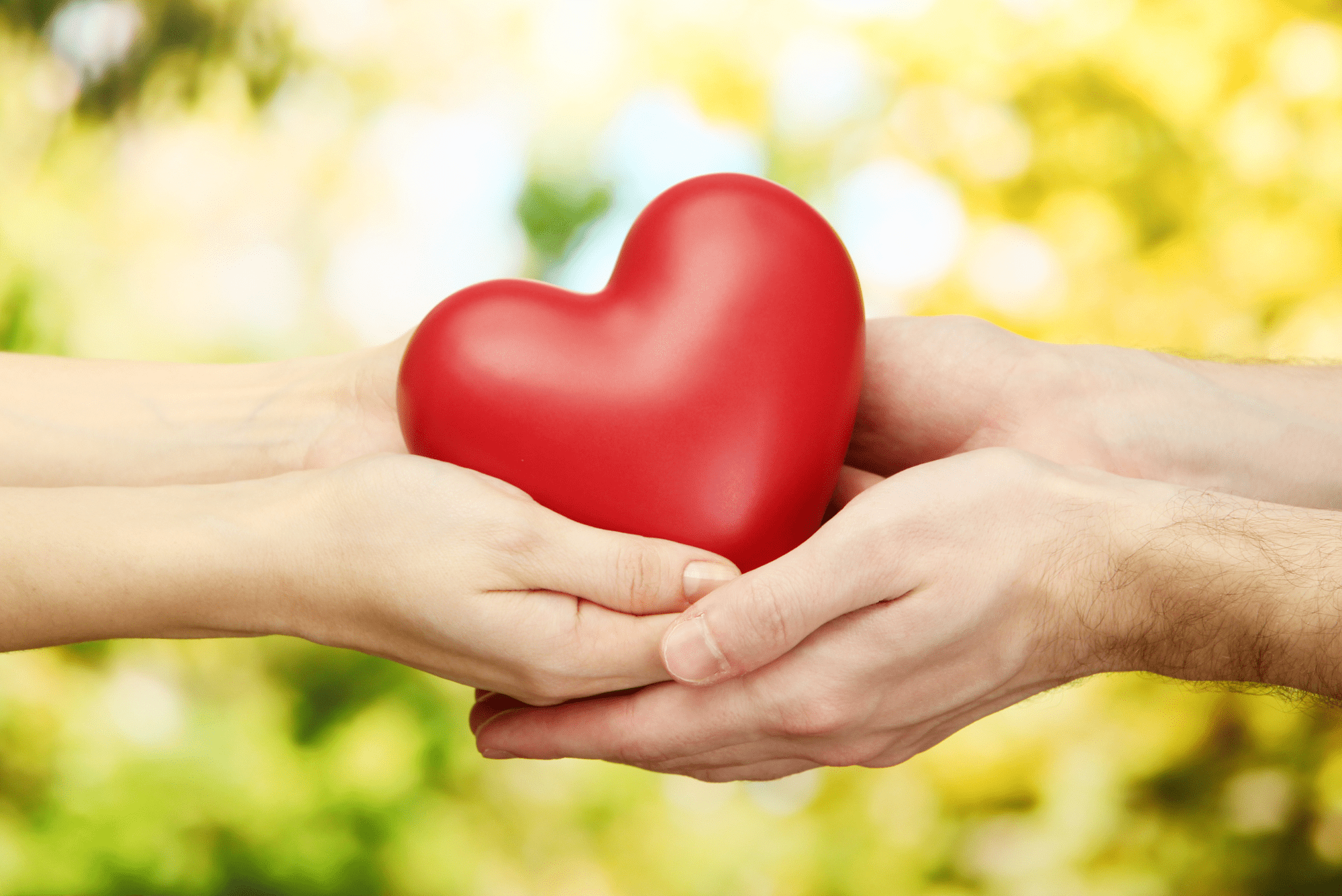 Red heart in woman and man's hands with green background